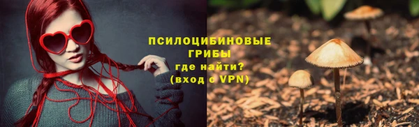 гашик Михайловка